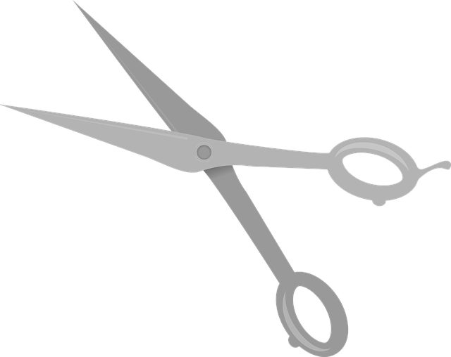Free download Scissors Haircut Salon - Free vector graphic on Pixabay free illustration to be edited with GIMP free online image editor