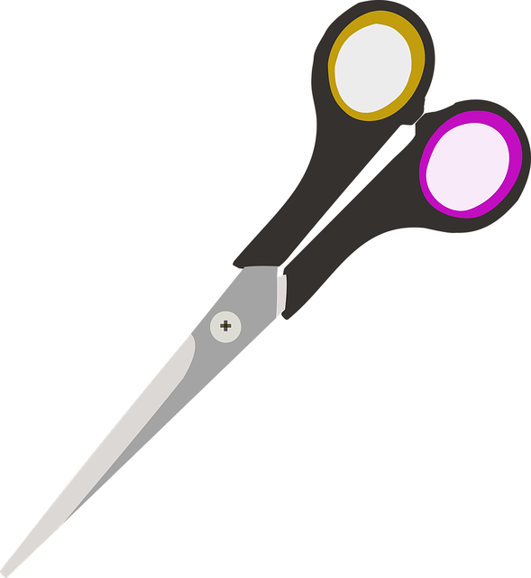 Free download Scissors School Education - Free vector graphic on Pixabay free illustration to be edited with GIMP free online image editor