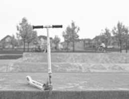 Free download Scoot free photo or picture to be edited with GIMP online image editor