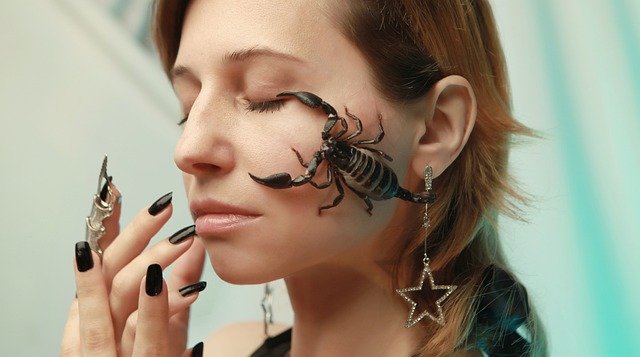 Free graphic scorpion portrait horoscope to be edited by GIMP free image editor by OffiDocs