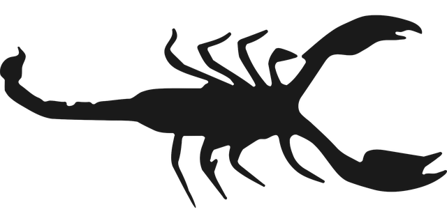 Free download Scorpio Zodiac Arachnid - Free vector graphic on Pixabay free illustration to be edited with GIMP free online image editor