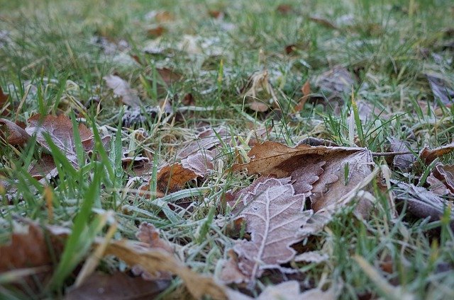 Free picture Scotland Aberdeen Frost -  to be edited by GIMP free image editor by OffiDocs