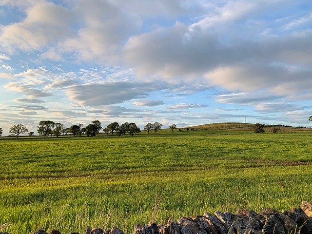 スコットランドの田舎の自然を無料ダウンロード - GIMP オンライン画像エディターで編集できる無料の写真または画像