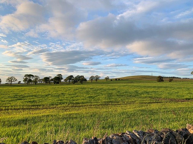 ດາວ​ໂຫຼດ​ຟຣີ Scotland Countryside Nature - ຮູບ​ພາບ​ຟຣີ​ຫຼື​ຮູບ​ພາບ​ທີ່​ຈະ​ໄດ້​ຮັບ​ການ​ແກ້​ໄຂ​ກັບ GIMP ອອນ​ໄລ​ນ​໌​ບັນ​ນາ​ທິ​ການ​ຮູບ​ພາບ