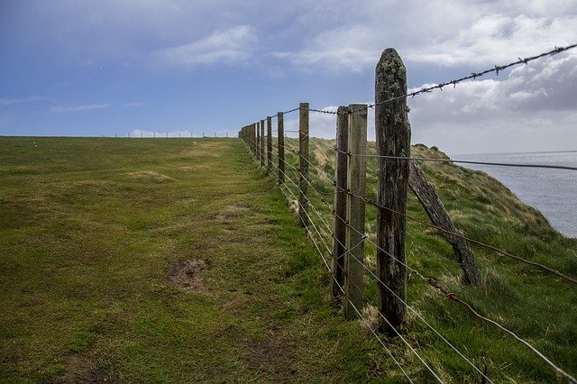 Template Photo Scotland Field Landscape -  for OffiDocs