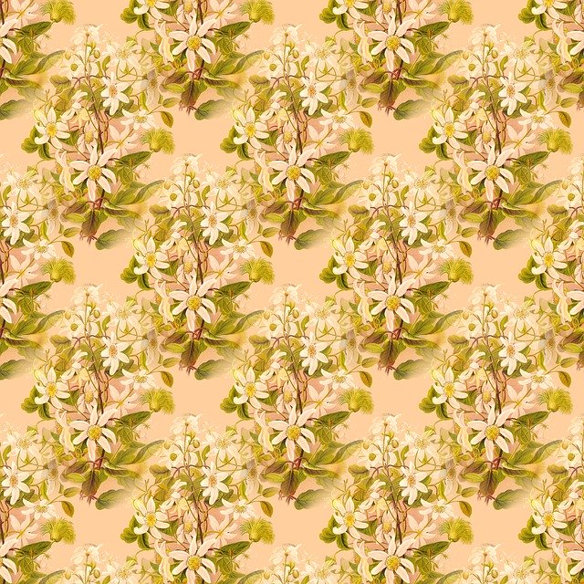 Free download Scrapbook Floral Botanical -  free illustration to be edited with GIMP free online image editor