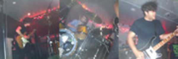 Free download Screamales Live Pics free photo or picture to be edited with GIMP online image editor