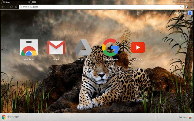 1080p HD Leopard  from Chrome web store to be run with OffiDocs Chromium online