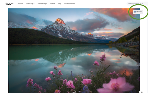 500px Downloader 2024  from Chrome web store to be run with OffiDocs Chromium online