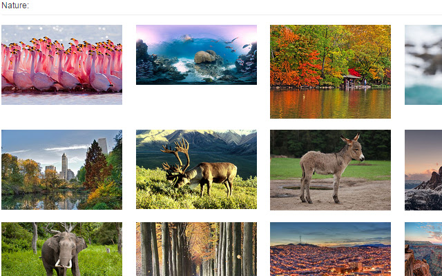 99puzzles.com NATURE  from Chrome web store to be run with OffiDocs Chromium online