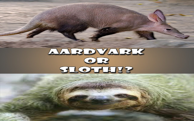 Aardvark or Sloth!?  from Chrome web store to be run with OffiDocs Chromium online