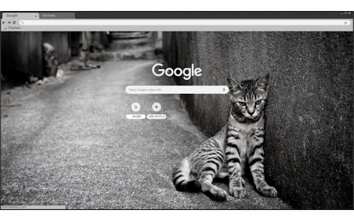 Abandoned cat  from Chrome web store to be run with OffiDocs Chromium online