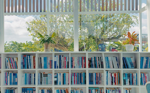 A Bookshelf by a Glass Window  from Chrome web store to be run with OffiDocs Chromium online