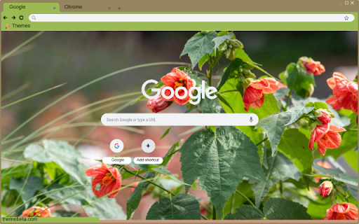 Abutilon  from Chrome web store to be run with OffiDocs Chromium online