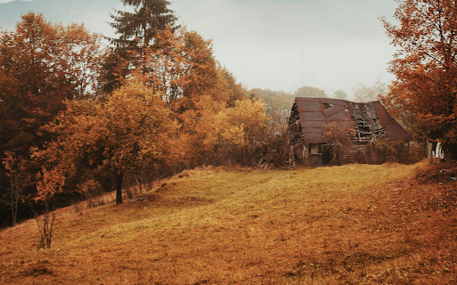 A Cabin in the Woods  from Chrome web store to be run with OffiDocs Chromium online