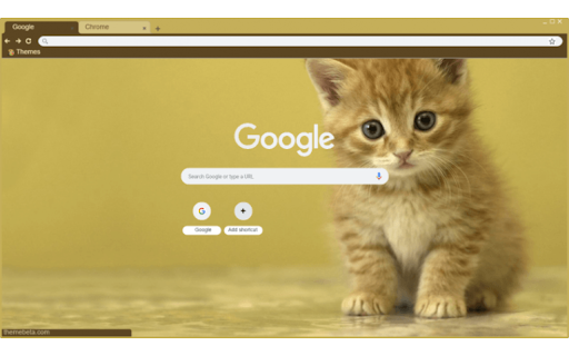 a cute cat  from Chrome web store to be run with OffiDocs Chromium online