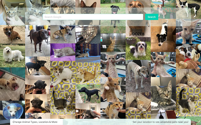 Adopt Pets New Tab  from Chrome web store to be run with OffiDocs Chromium online