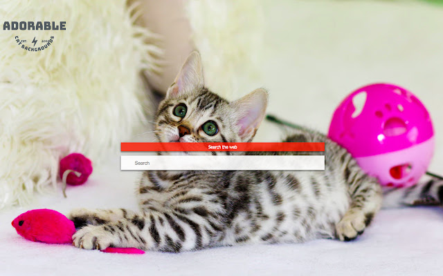 Adorable Cat Custom Backgrounds  from Chrome web store to be run with OffiDocs Chromium online