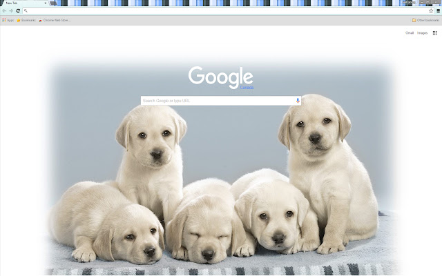 Adorable Cute Puppy Theme  from Chrome web store to be run with OffiDocs Chromium online