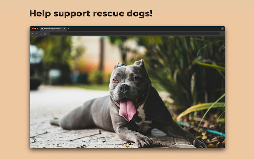 Adorable Dog Wallpapers  from Chrome web store to be run with OffiDocs Chromium online