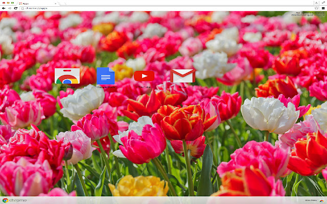 Adorable Flowers Theme  from Chrome web store to be run with OffiDocs Chromium online