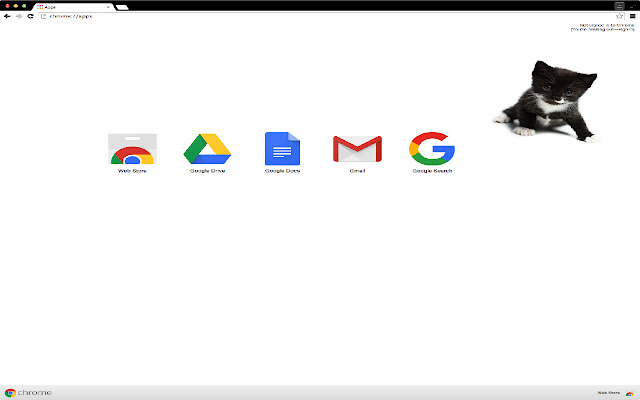 Adorable Kitten Theme 4  from Chrome web store to be run with OffiDocs Chromium online