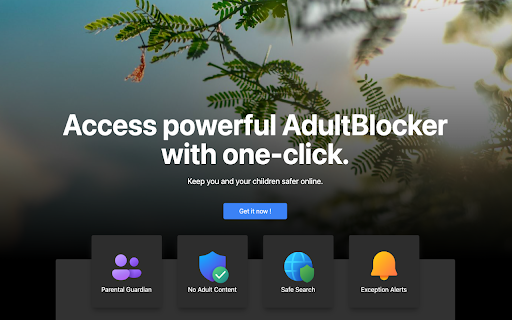AdultBlocker Free  from Chrome web store to be run with OffiDocs Chromium online