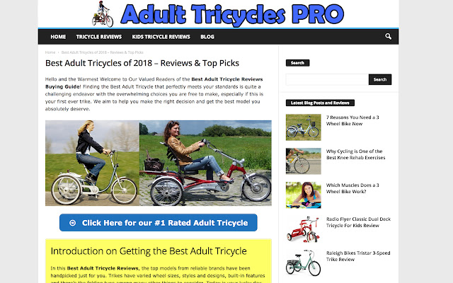 AdultTricylesPro.com  from Chrome web store to be run with OffiDocs Chromium online