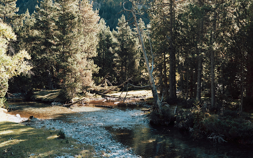 Aerial Photography of a Scenic Lake  from Chrome web store to be run with OffiDocs Chromium online