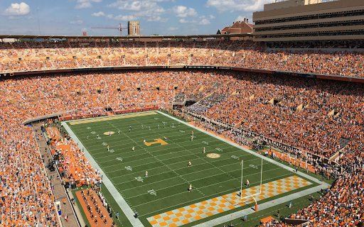 Aerial Shot of a Football Stadium with People  from Chrome web store to be run with OffiDocs Chromium online
