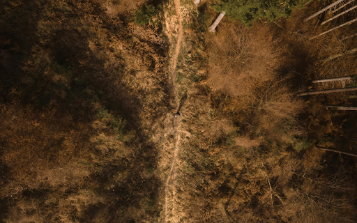 Aerial View of Forest Trail in Styria, Austria  from Chrome web store to be run with OffiDocs Chromium online