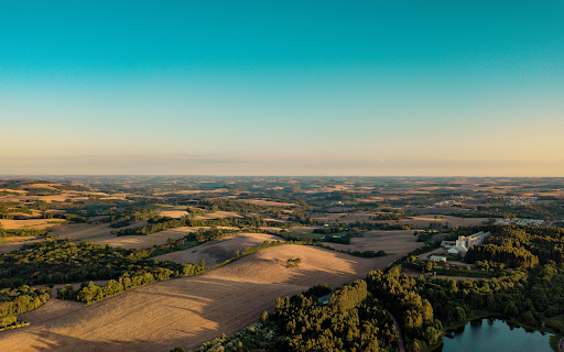 Aerial View of Trees in Field  from Chrome web store to be run with OffiDocs Chromium online