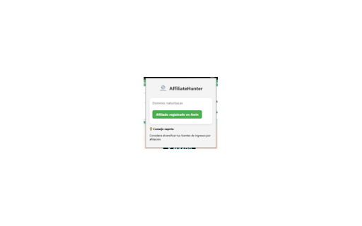 AffiliateHunter  from Chrome web store to be run with OffiDocs Chromium online