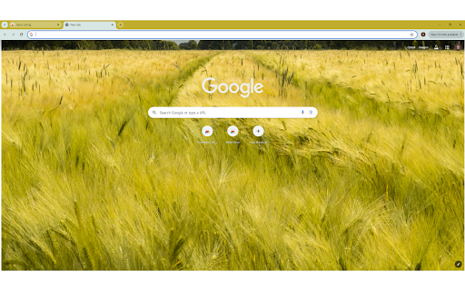A Field of Barley  from Chrome web store to be run with OffiDocs Chromium online