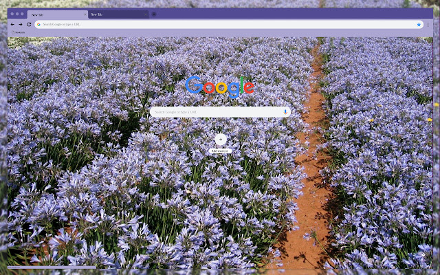 A field of purple flowers  from Chrome web store to be run with OffiDocs Chromium online