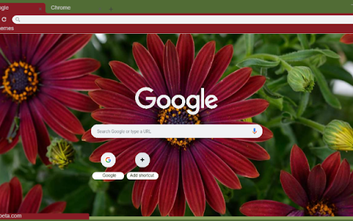 African Daisy  from Chrome web store to be run with OffiDocs Chromium online