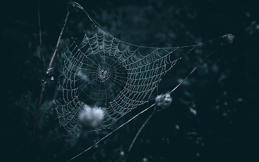 After the rain  from Chrome web store to be run with OffiDocs Chromium online