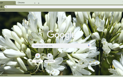 Agapanthus  from Chrome web store to be run with OffiDocs Chromium online