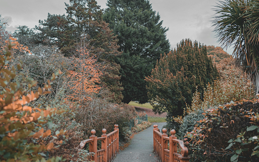 A Gloomy Day at a Park  from Chrome web store to be run with OffiDocs Chromium online