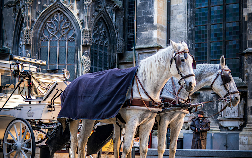 A Horse Drawn Carriage outside St. Stephens Cathedral  from Chrome web store to be run with OffiDocs Chromium online
