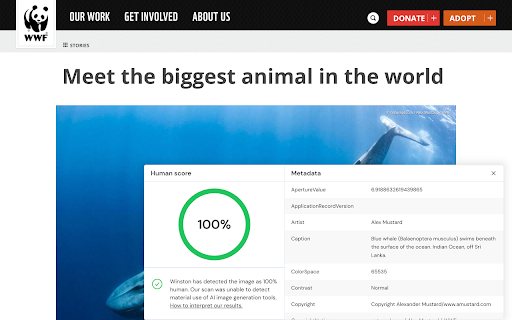 AI Detector for text and images Winston AI  from Chrome web store to be run with OffiDocs Chromium online