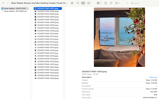 Airbnb™ Downloader | Download images  videos  from Chrome web store to be run with OffiDocs Chromium online