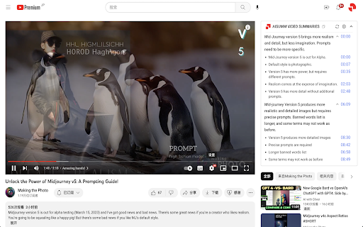AISUMM VIDEO SUMMARIES  from Chrome web store to be run with OffiDocs Chromium online
