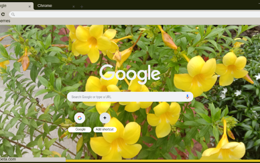 Allamanda  from Chrome web store to be run with OffiDocs Chromium online