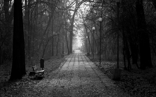 Alley of empty park with leafless trees in autumn  from Chrome web store to be run with OffiDocs Chromium online