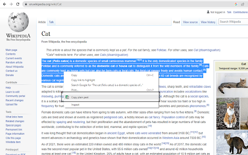 Allow Copy Plain Text  from Chrome web store to be run with OffiDocs Chromium online