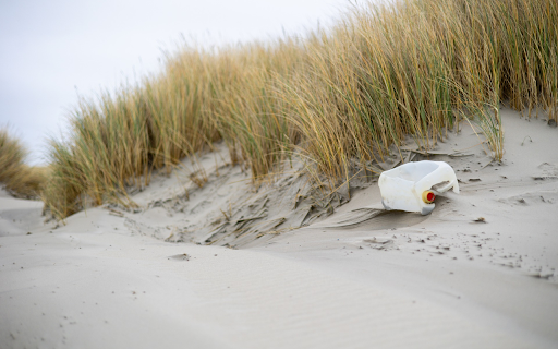 Alluvial sand beach  from Chrome web store to be run with OffiDocs Chromium online