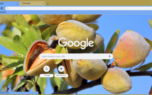 Almond Tree  from Chrome web store to be run with OffiDocs Chromium online