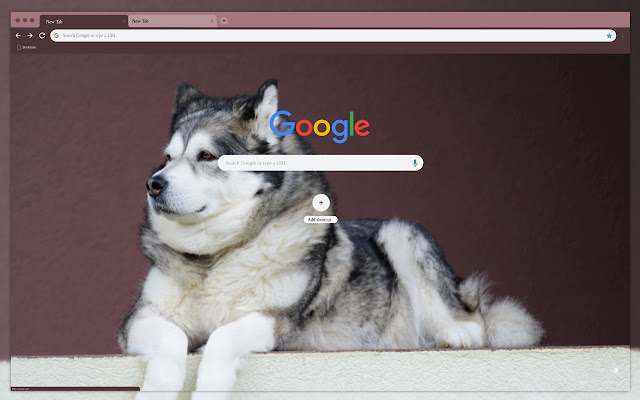 Alpine dog  from Chrome web store to be run with OffiDocs Chromium online