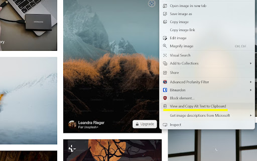 Alt Text Copy  from Chrome web store to be run with OffiDocs Chromium online